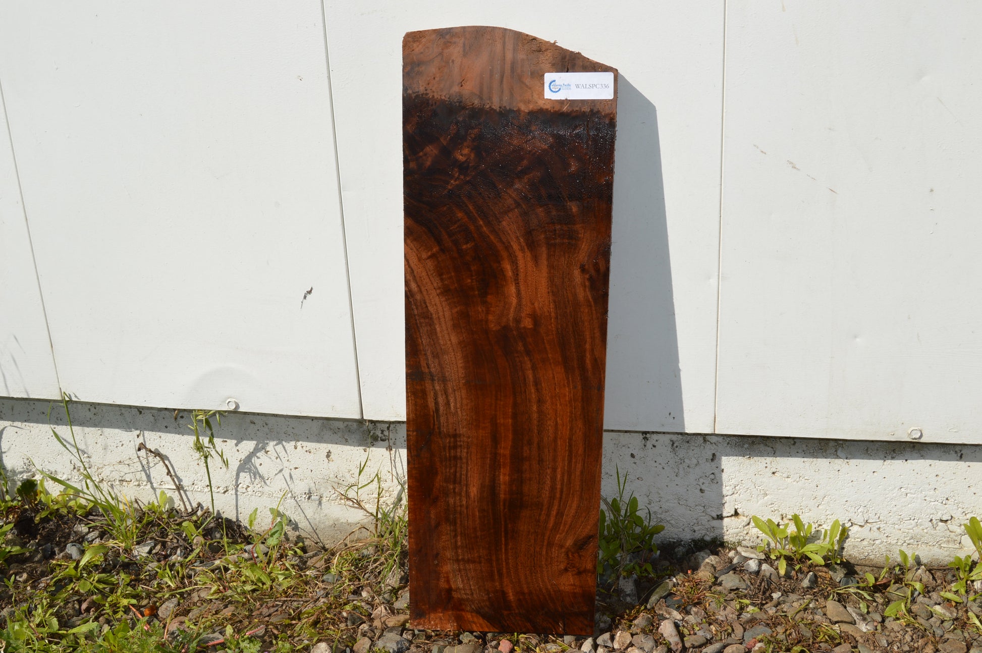 Claro Walnut Specialty Piece WALSPC336