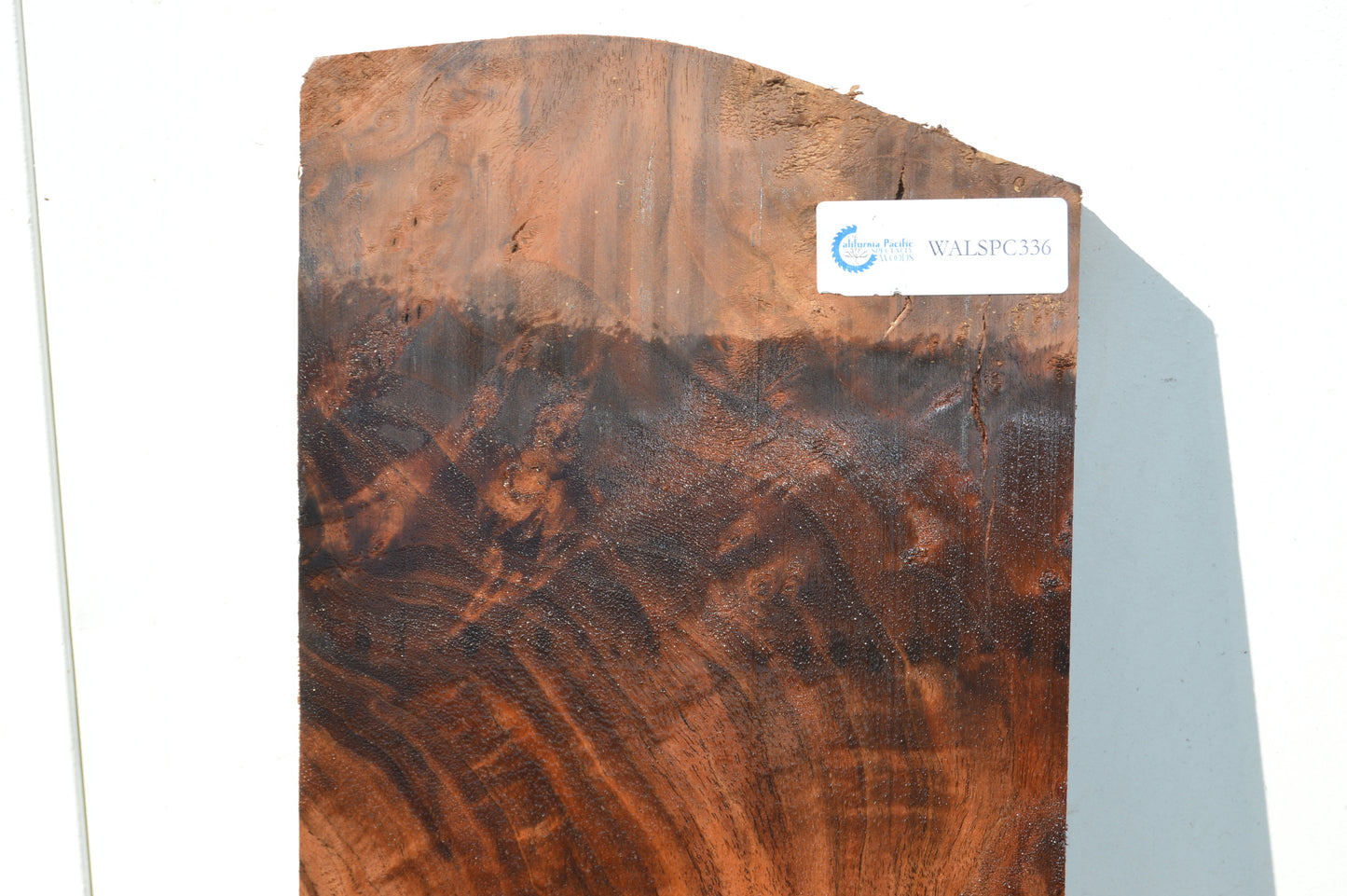 Claro Walnut Specialty Piece WALSPC336