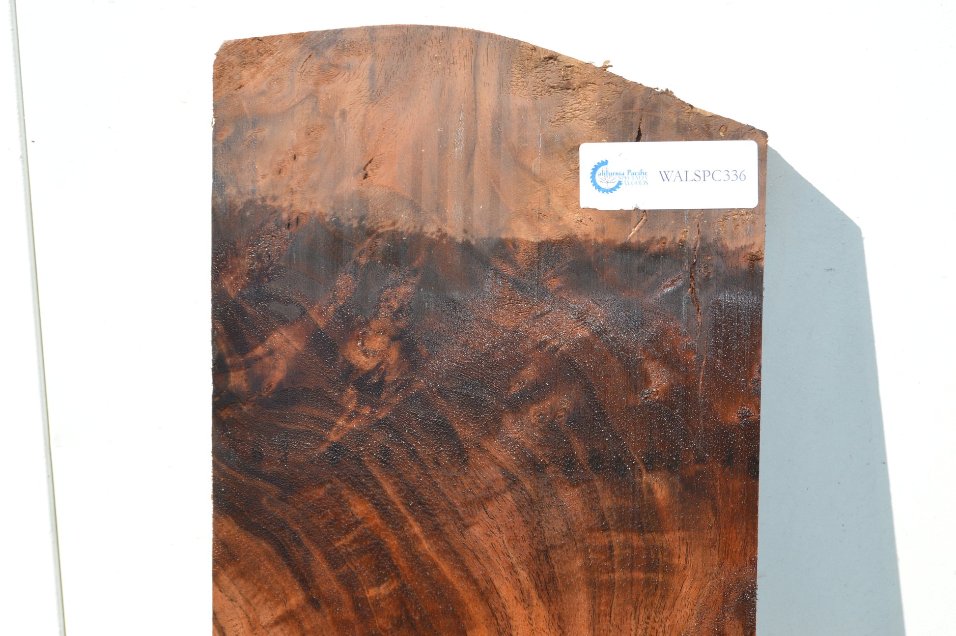 Claro Walnut Specialty Piece WALSPC336