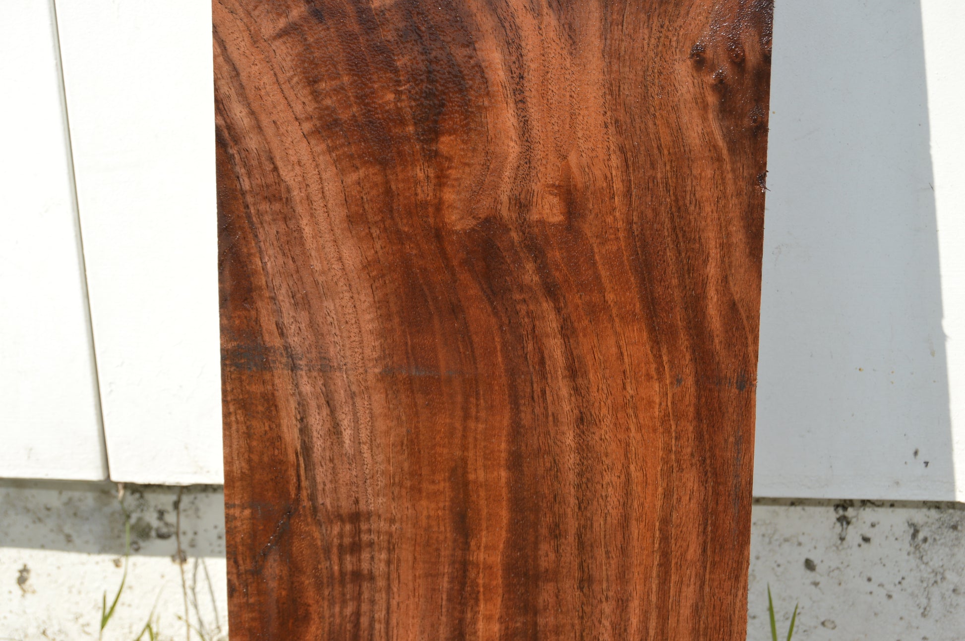 Claro Walnut Specialty Piece WALSPC336