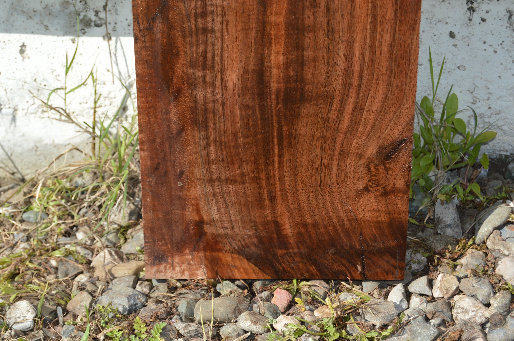 Claro Walnut Specialty Piece WALSPC336