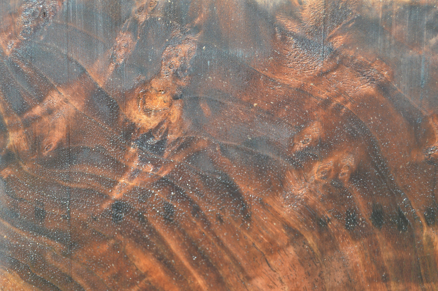 Claro Walnut Specialty Piece WALSPC336