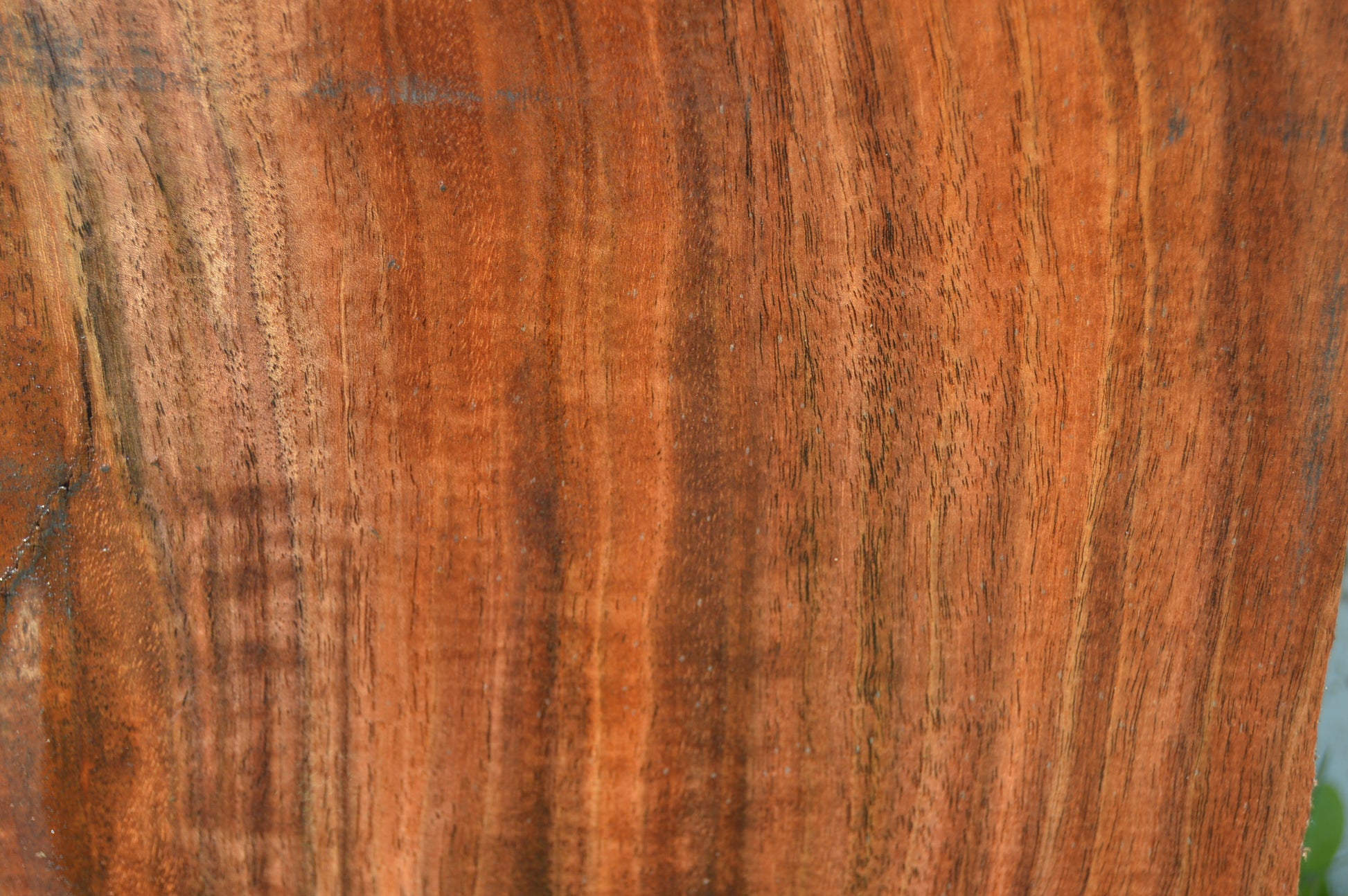 Claro Walnut Specialty Piece WALSPC336