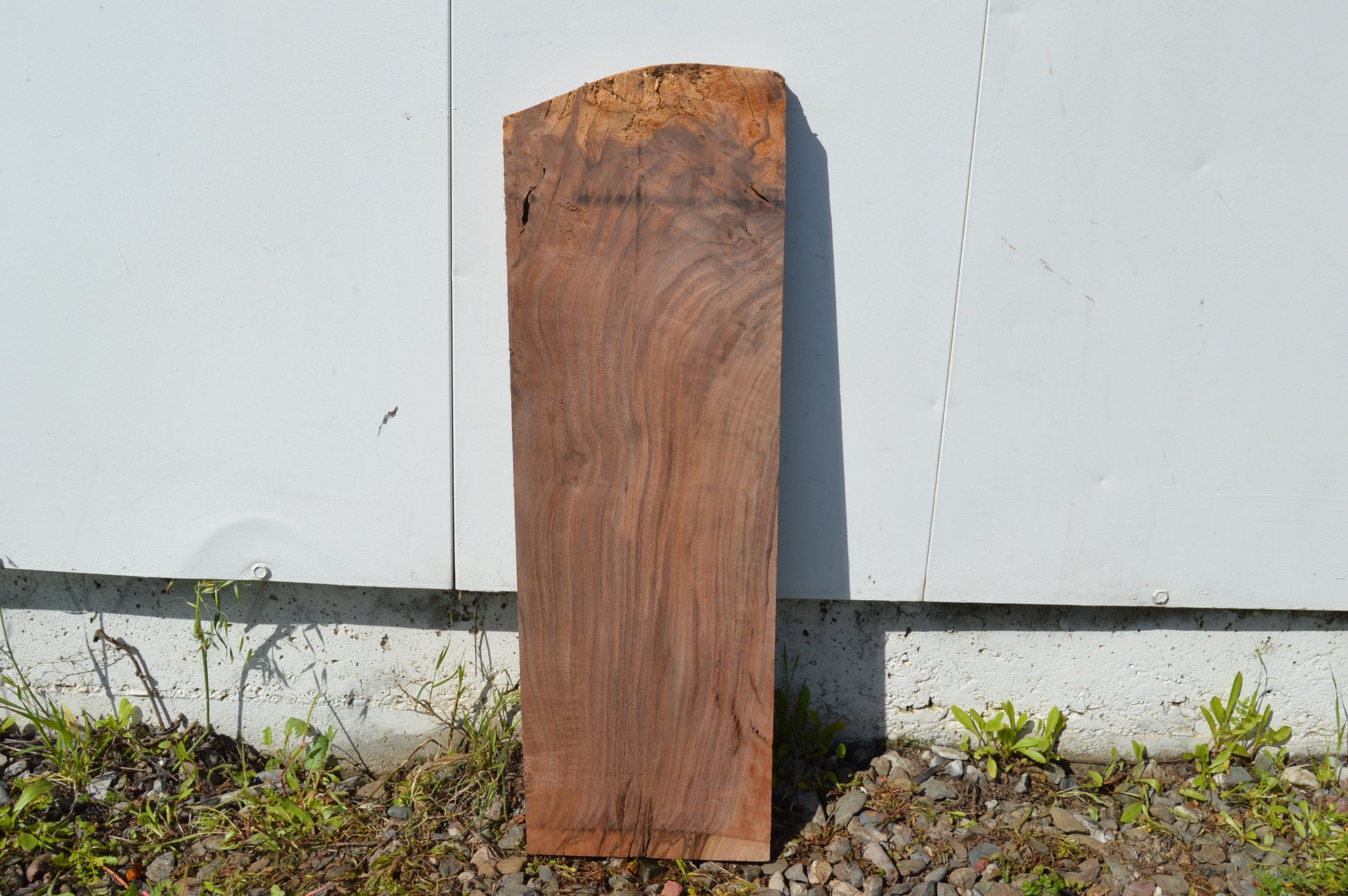 Claro Walnut Specialty Piece WALSPC336