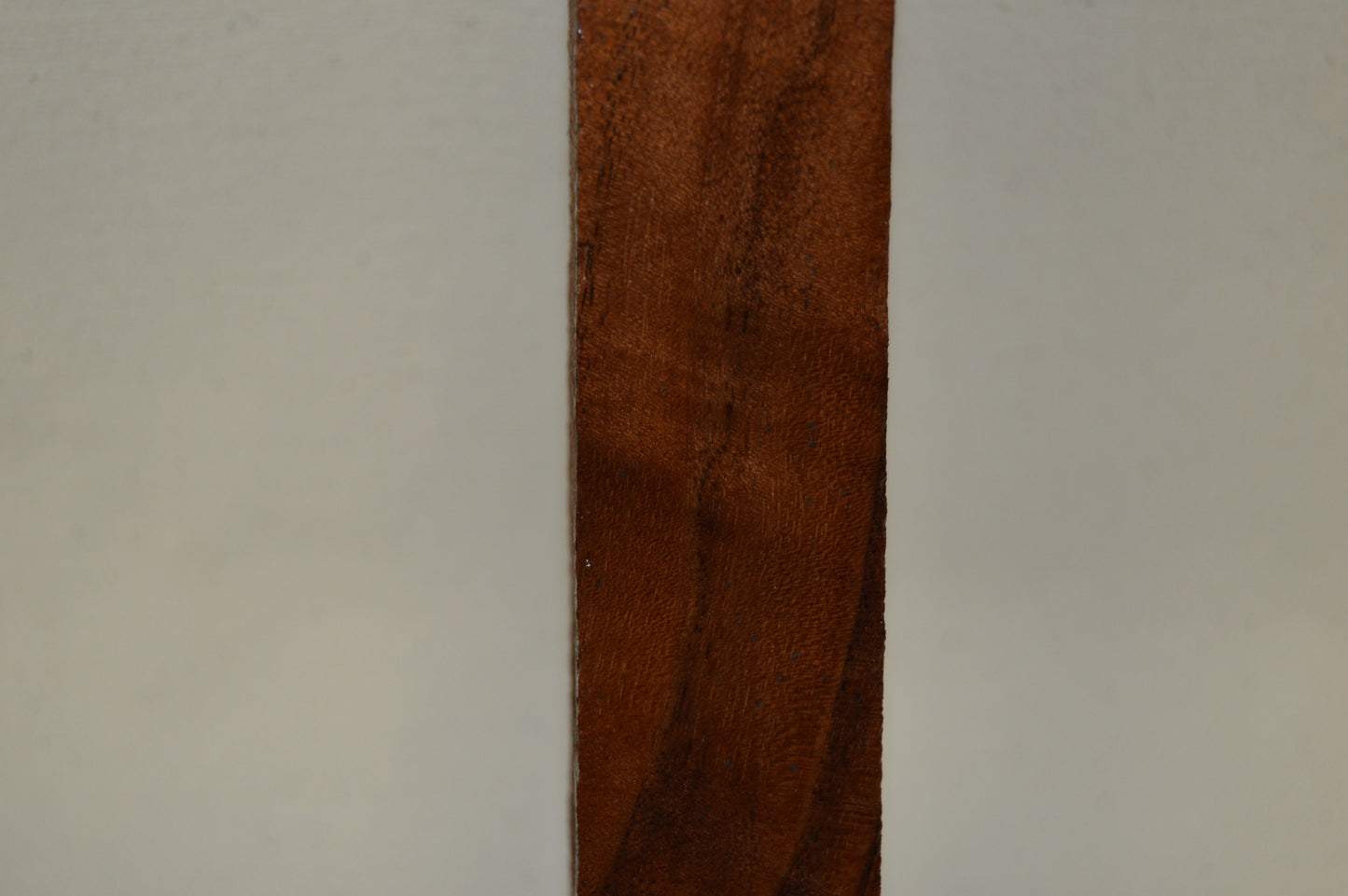 Walnut Turning Blank WALTUR59