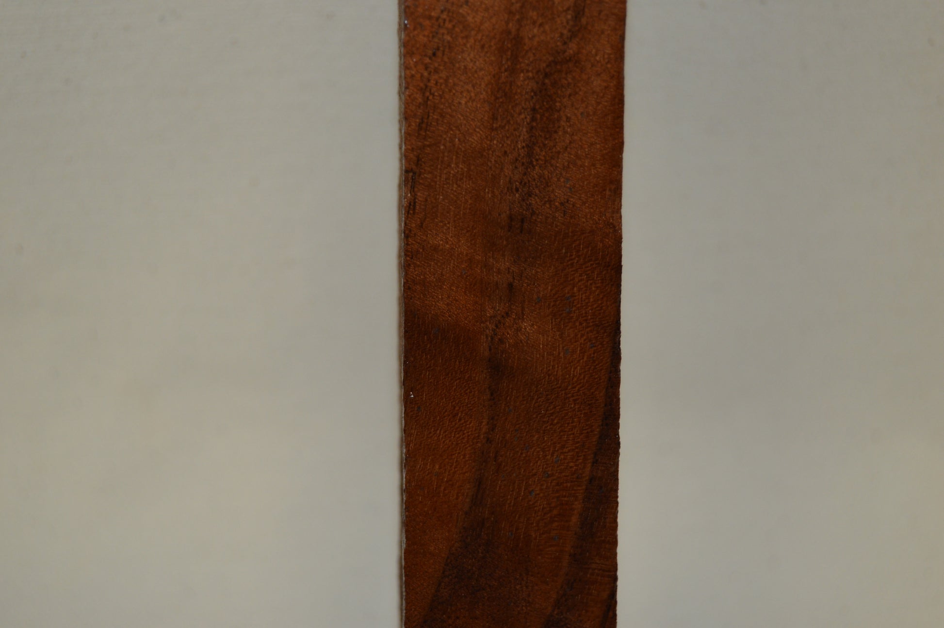 Walnut Turning Blank WALTUR59