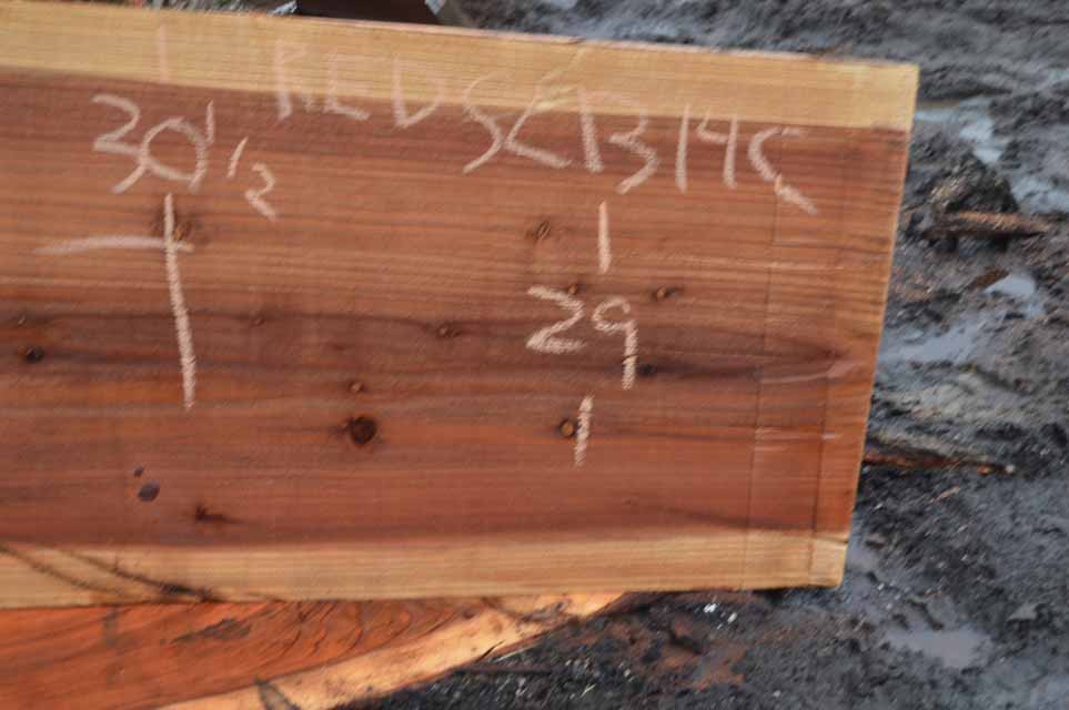 Redwood Slab REDSLB14C