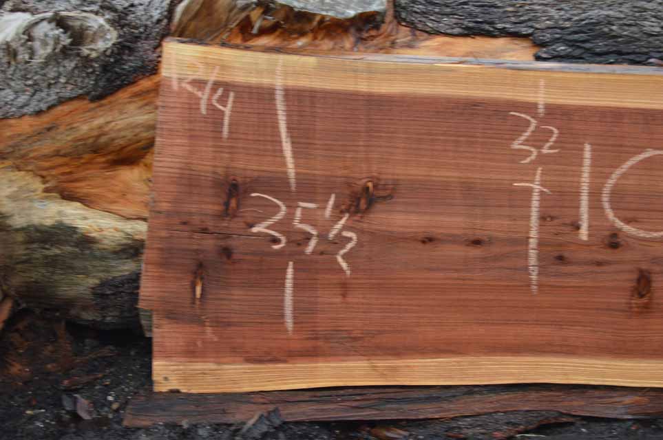Redwood Slab REDSLB14D