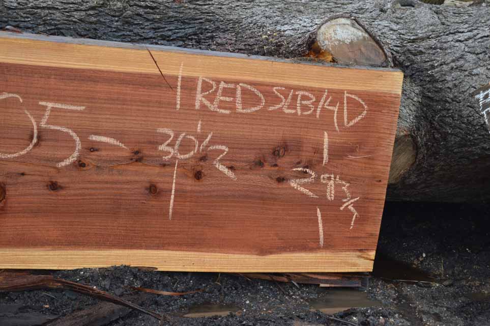 Redwood Slab REDSLB14D