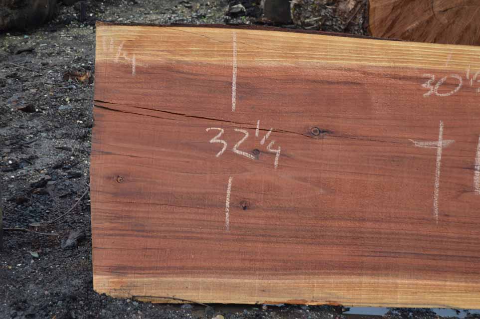 Redwood Slab REDSLB14G