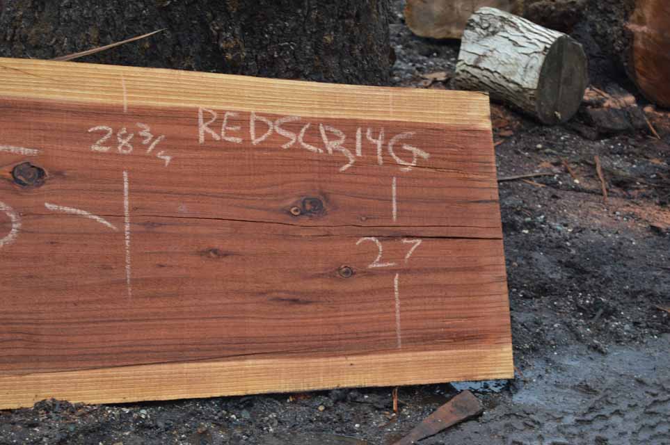 Redwood Slab REDSLB14G