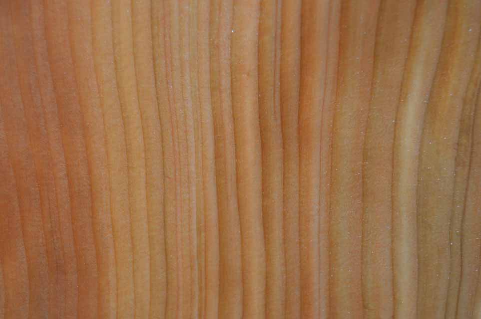 Cedar Tonewoods CEDTON1
