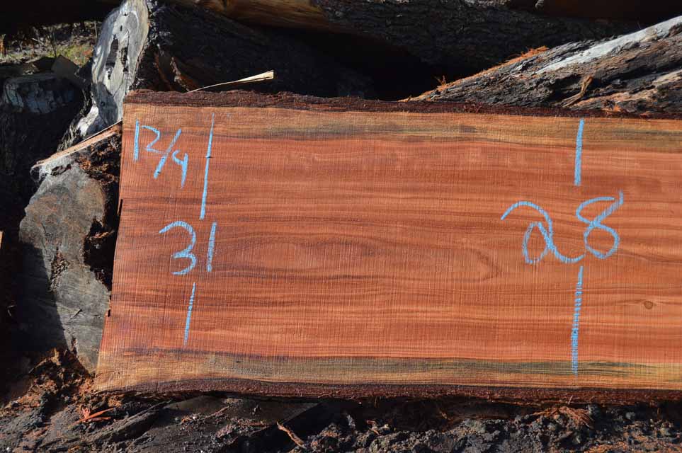 Redwood Slab REDSLB18B