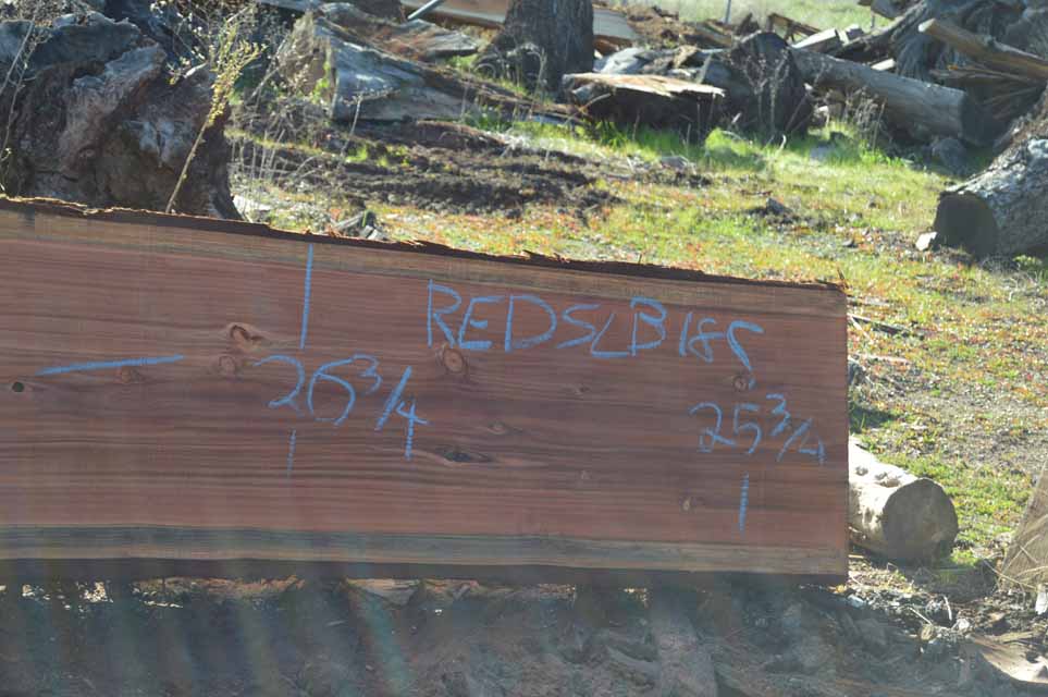 Redwood Slab REDSLB18C