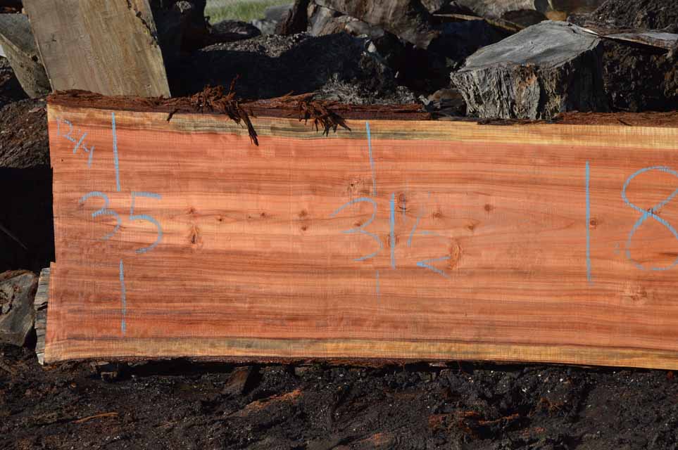 Redwood Slab REDSLB18D