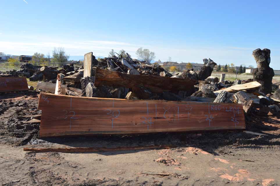 Redwood Slab REDSLB18E