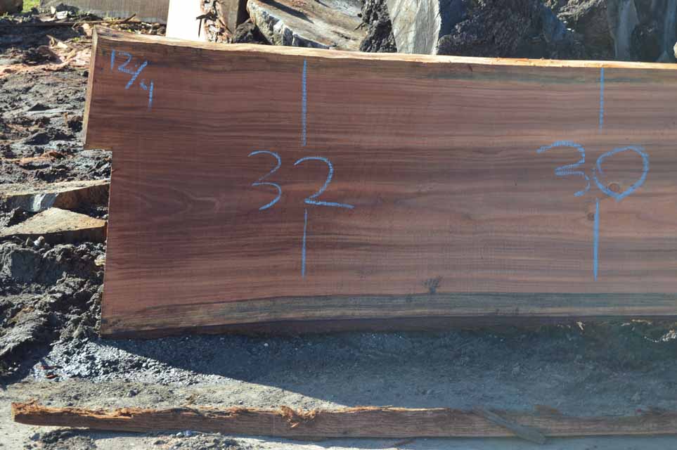 Redwood Slab REDSLB18E
