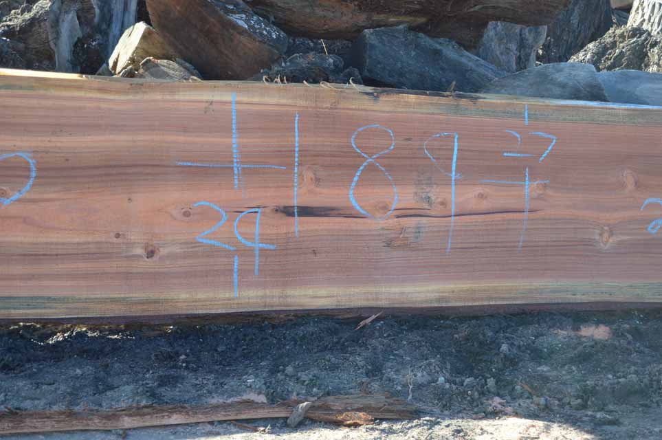 Redwood Slab REDSLB18E