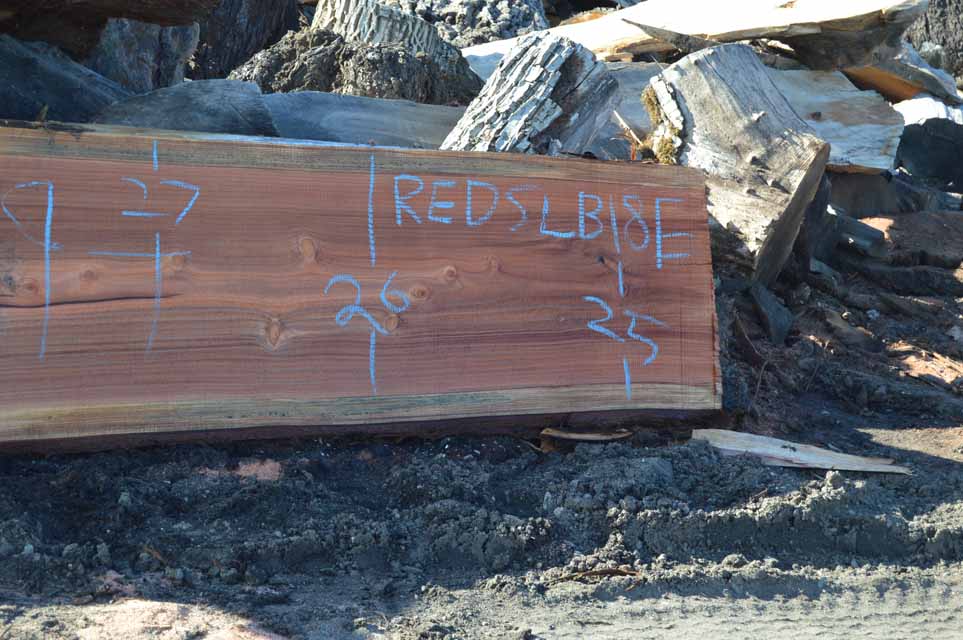 Redwood Slab REDSLB18E