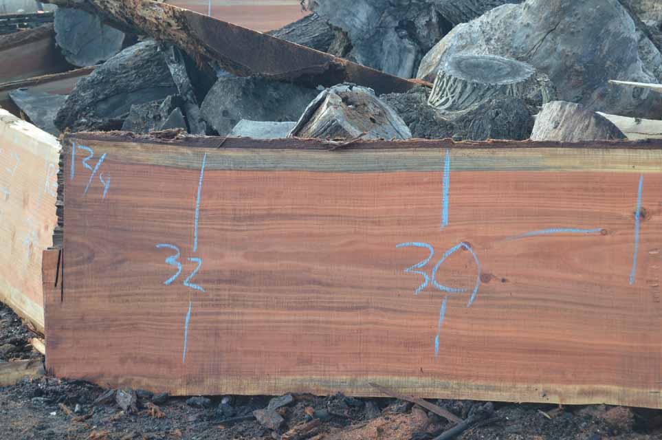 Redwood Slab REDSLB18F