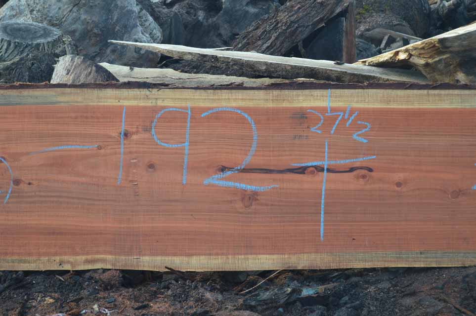 Redwood Slab REDSLB18F