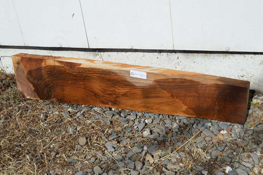 English Gunstock ENGGUN50