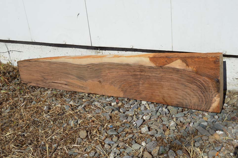 English Gunstock ENGGUN50