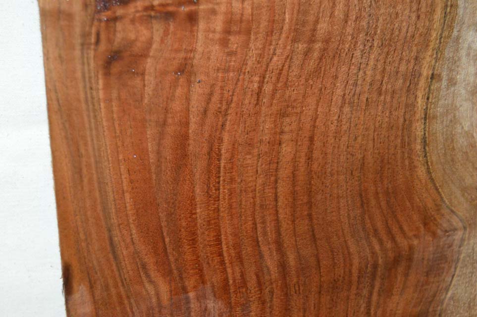 Claro Walnut Billet WALTON38