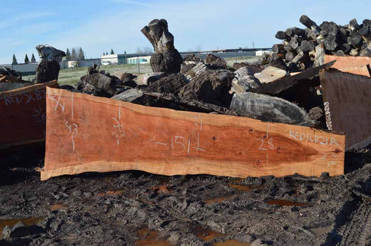 Redwood Slab REDSLB21A