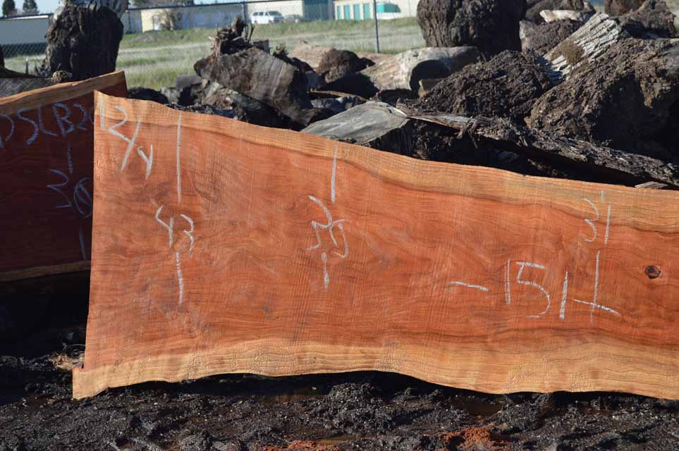 Redwood Slab REDSLB21A