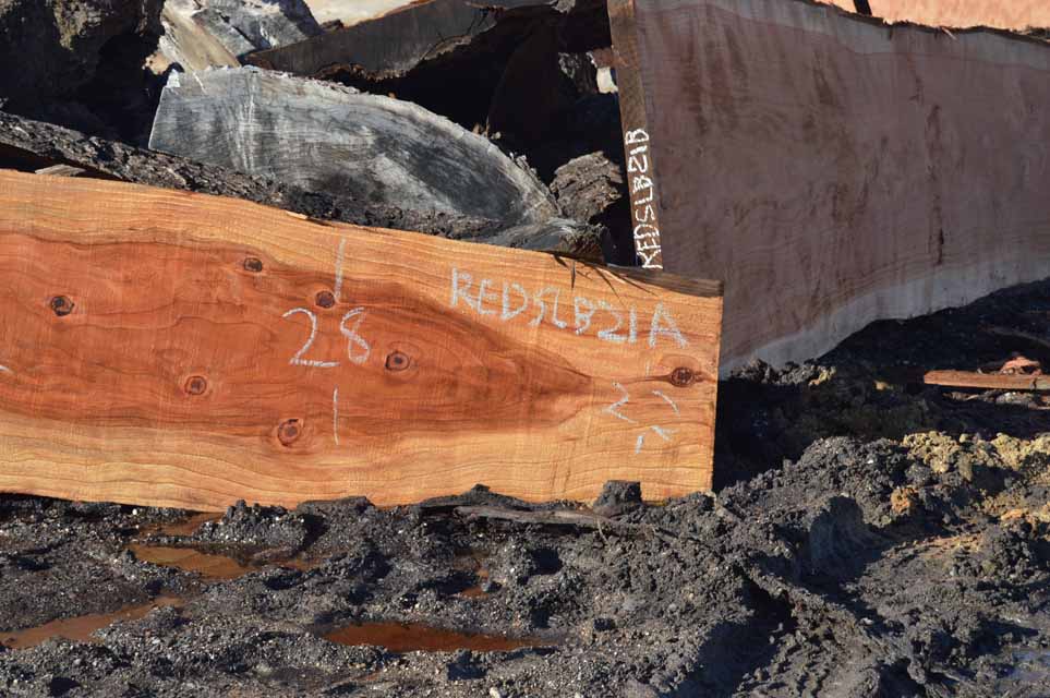 Redwood Slab REDSLB21A