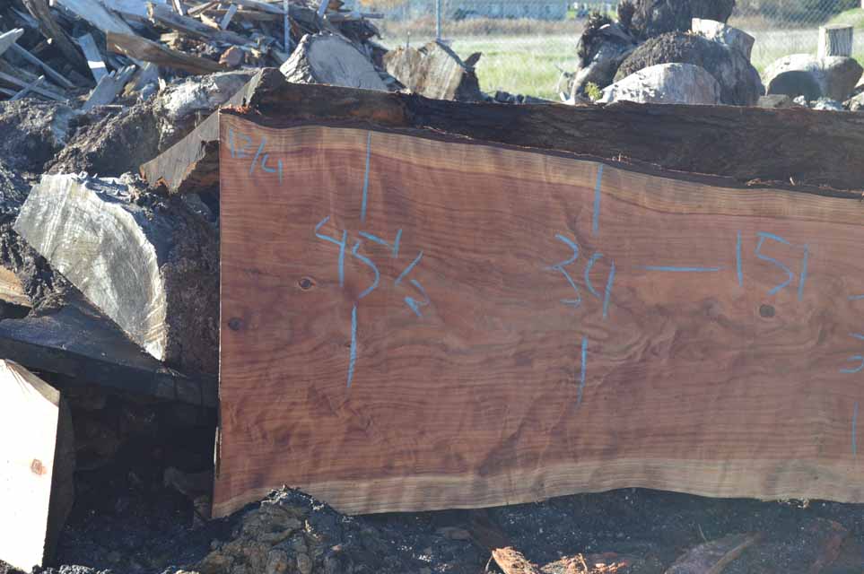 Redwood Slab REDSLB21B