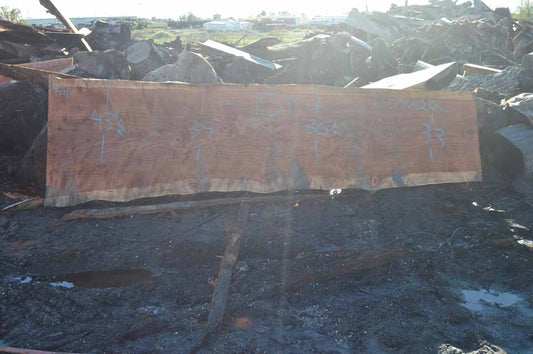 Redwood Slab REDSLB21C