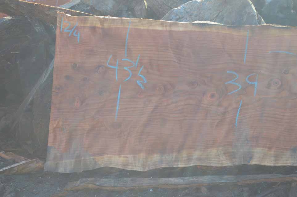 Redwood Slab REDSLB21C