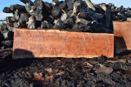 Redwood Slab REDSLB21E