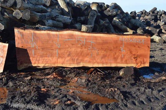 Redwood Slab REDSLB21F