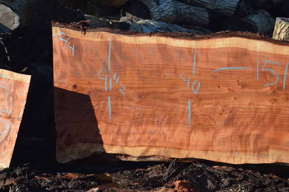 Redwood Slab REDSLB21F