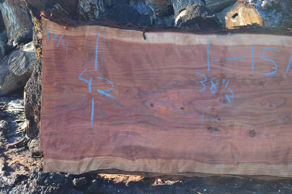 Redwood Slab REDSLB21G