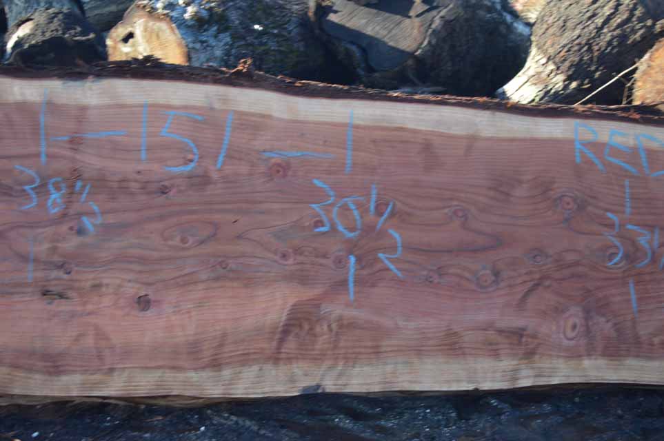 Redwood Slab REDSLB21G