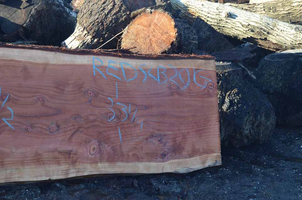 Redwood Slab REDSLB21G