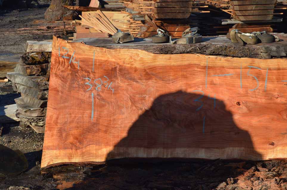 Redwood Slab REDSLB21H