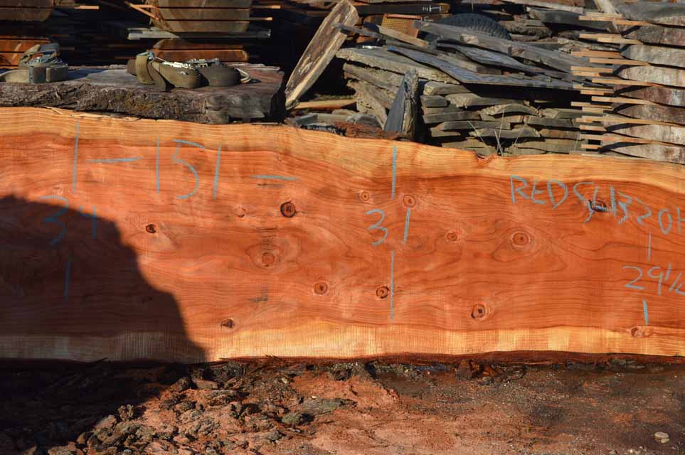 Redwood Slab REDSLB21H