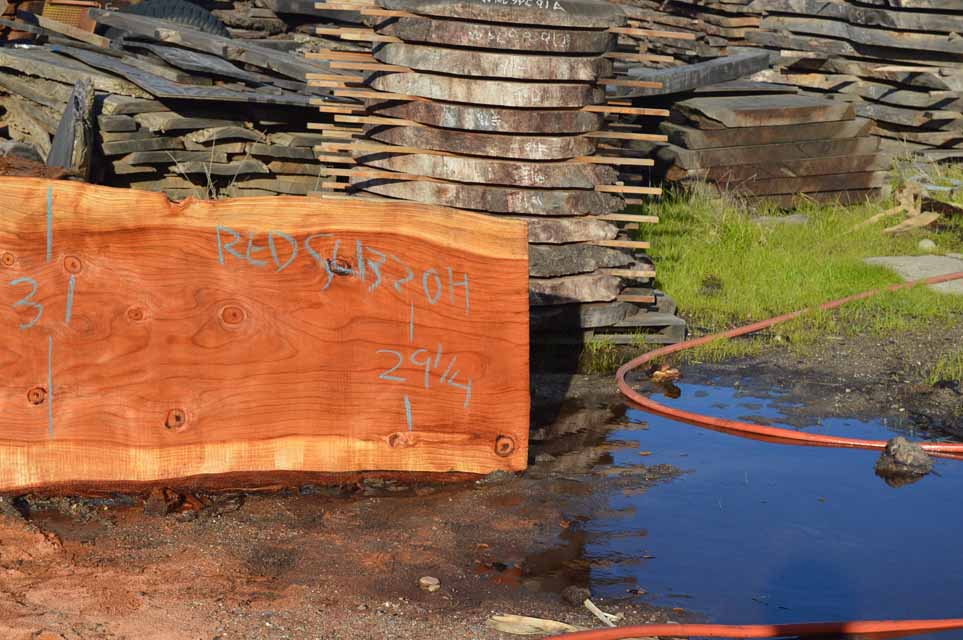 Redwood Slab REDSLB21H