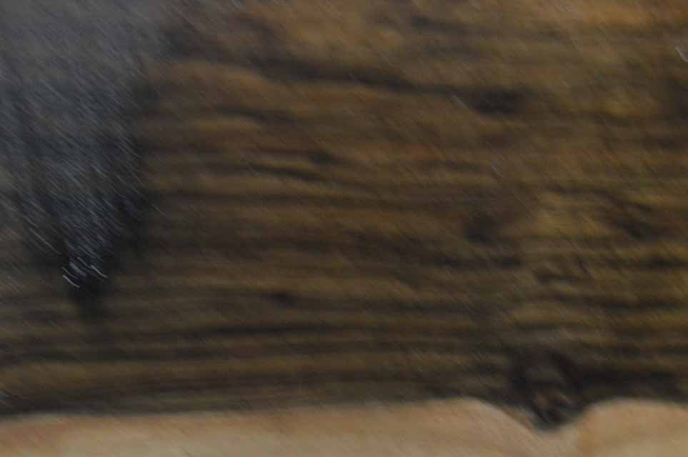 English Gunstock Blank ENGGUN81