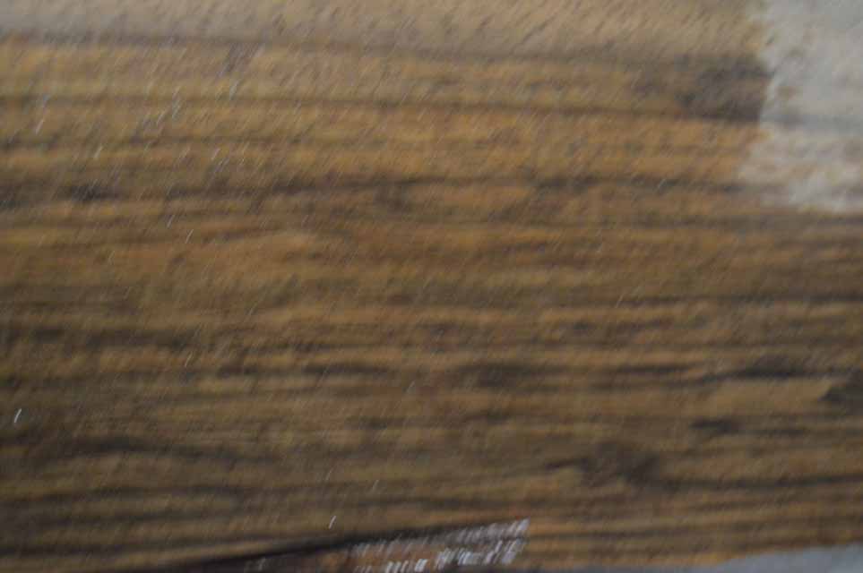 English Gunstock Blank ENGGUN81