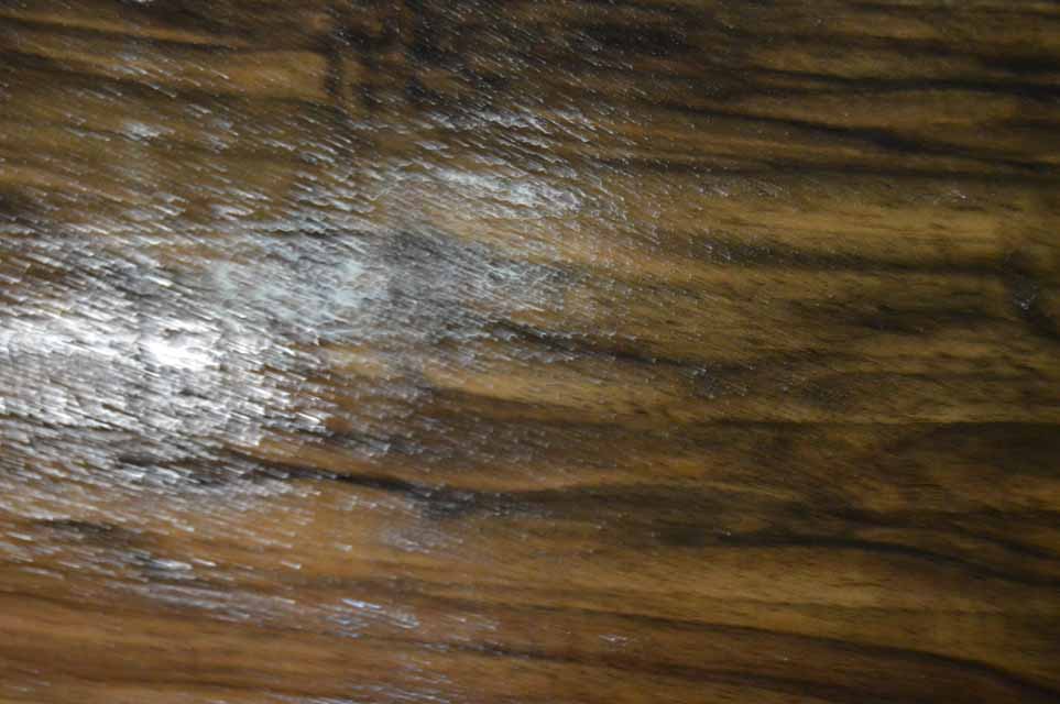 English Gunstock Blank ENGGUN78