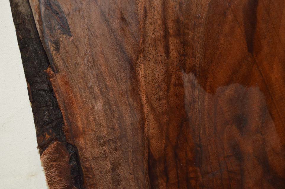 Claro Walnut Billet WALTON48