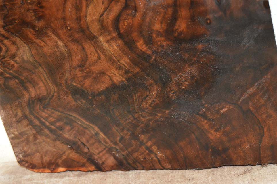Claro Walnut Billet WALTON48
