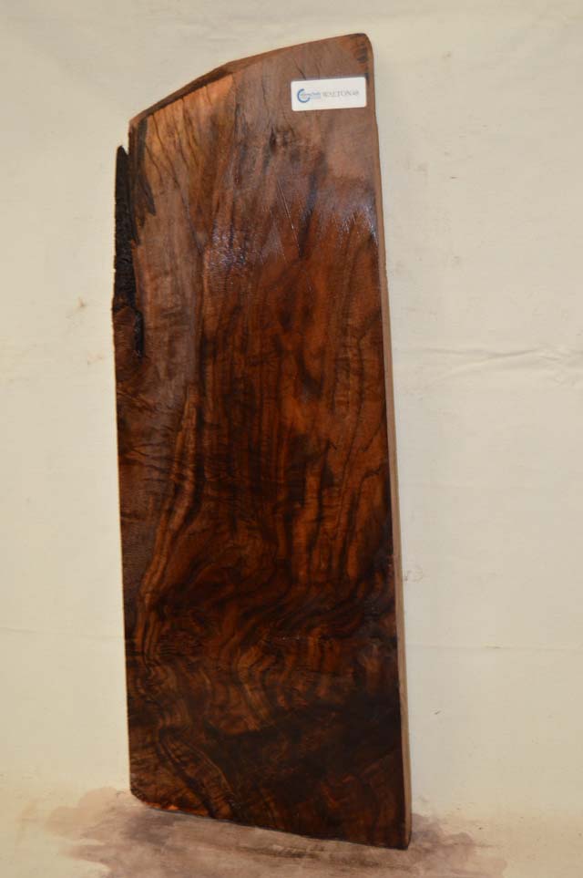 Claro Walnut Billet WALTON48
