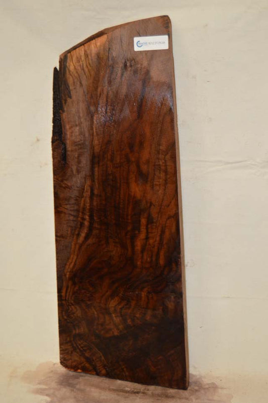 Claro Walnut Billet WALTON48